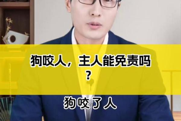 女人梦见狗咬手是吉兆 女人梦见狗咬手是吉兆