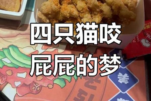 梦见被猫咬了是什么意思 梦见被猫咬了是什么意思