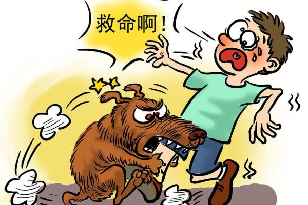 梦见被自己的狗咬了预示着什么 梦见被自己的狗咬了预示着什么