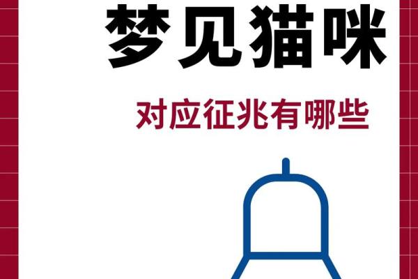 梦见好多猫 梦见好多猫