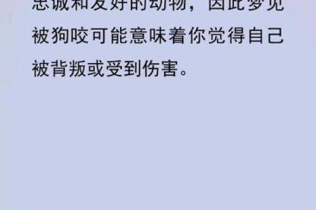 梦见狗是什么预兆 男性