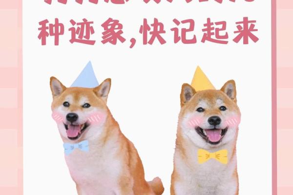 女人梦见狗咬自己是什么意思 女人梦见狗咬自己是什么意思