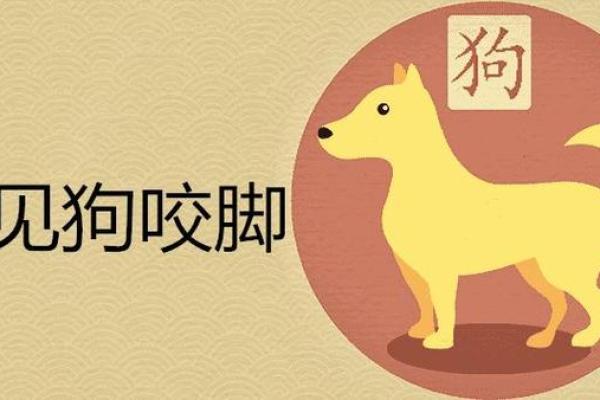 梦见狗咬自己是什么预兆 梦见狗咬自己是什么预兆