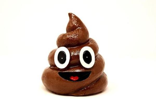 梦见狗屎是什么意思周公解梦 梦见狗屎是什么意思周公解梦