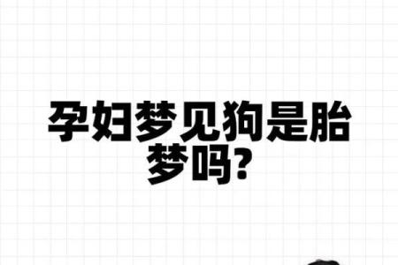 梦见打死狗有什么预兆