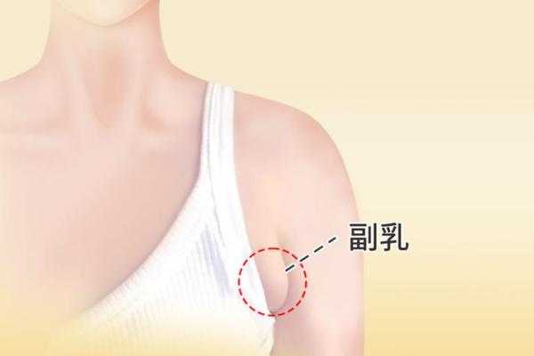 梦见男人吃自己乳房是什么意思 梦见男人吃自己乳房是什么意思