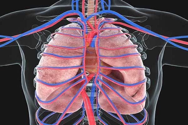 梦见男人吃自己乳房是什么意思 梦见男人吃自己乳房是什么意思