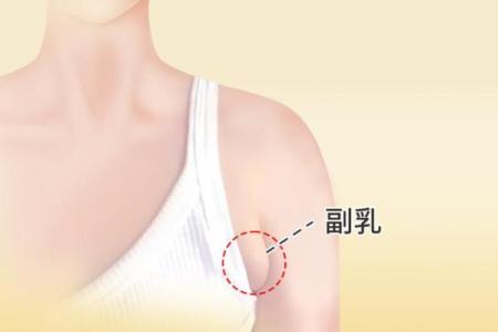 梦见男人吃自己乳房是什么意思