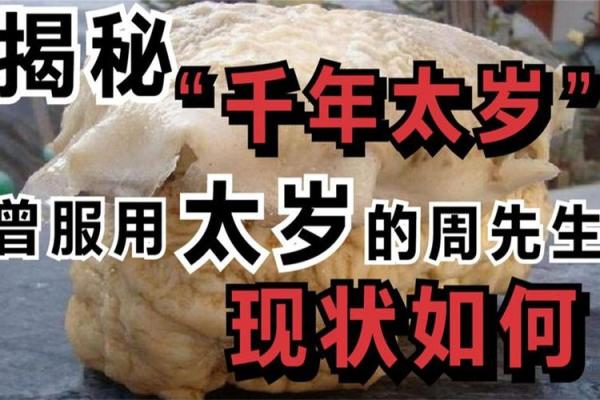 初八能动土吗 初八能动土吗