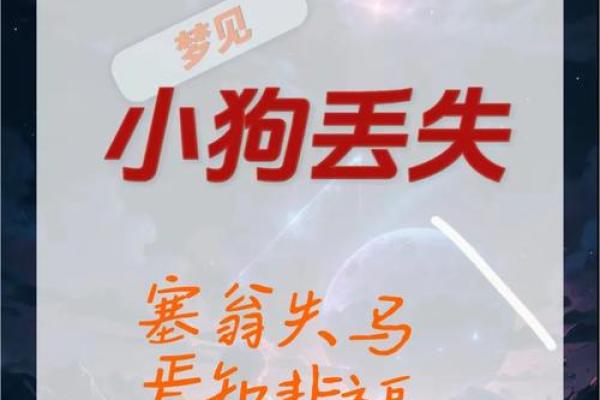 梦见小狗狗一直粘着我 梦见小狗狗一直粘着我