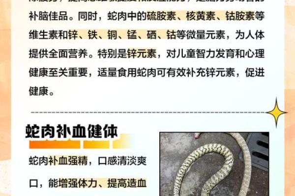 梦到吃蛇肉预示着什么 梦到吃蛇肉预示着什么