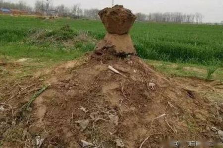 土窝里不能动土