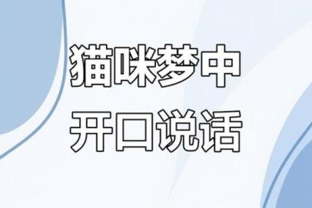 梦见会说话的猫