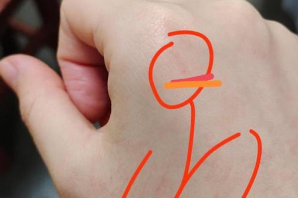 梦见猫抓我是什么预兆 梦见猫抓我是什么预兆