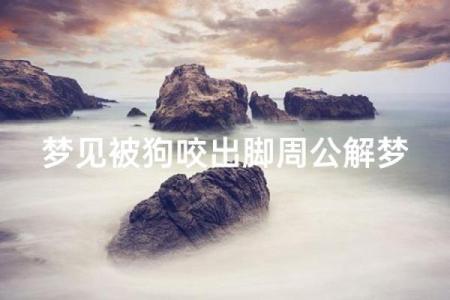 梦见狗狗是什么预兆周公解梦