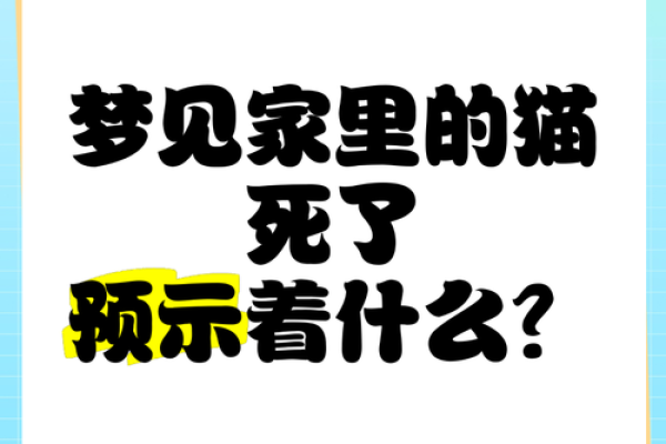 梦见小猫崽是什么意思 梦见小猫崽是什么意思