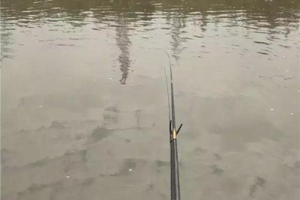 梦见捉了一条大鱼是什么预兆 梦见捉了一条大鱼是什么预兆