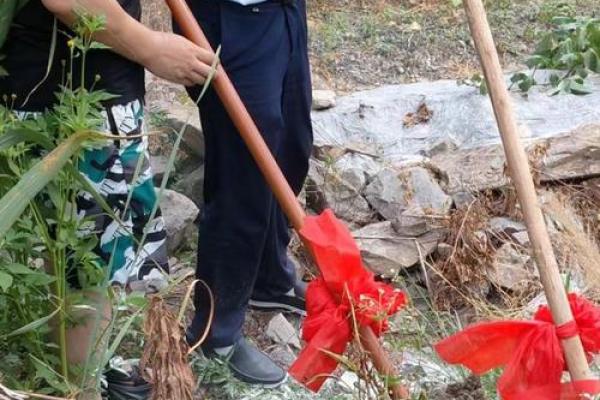 今天动土怎么样 今天动土怎么样