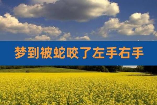 女人梦见被蛇咬手是什么征兆 女人梦见被蛇咬手是什么征兆