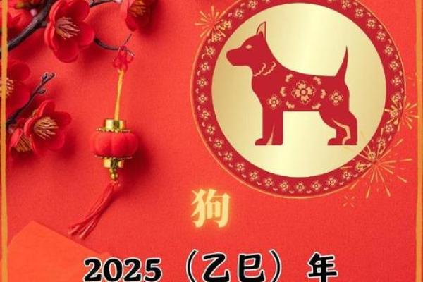 1982属狗2025年运势及运程_1982年生肖狗2023年运势完整版