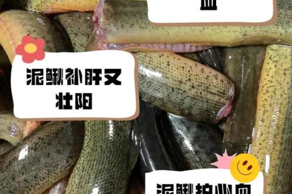 女人梦到泥鳅鱼是什么征兆 女人梦到泥鳅鱼是什么征兆