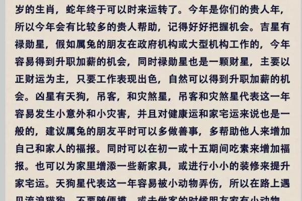 2025年属兔几月出生最好 2025年属兔几月出生最好