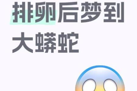 老公梦见蛇是什么预兆