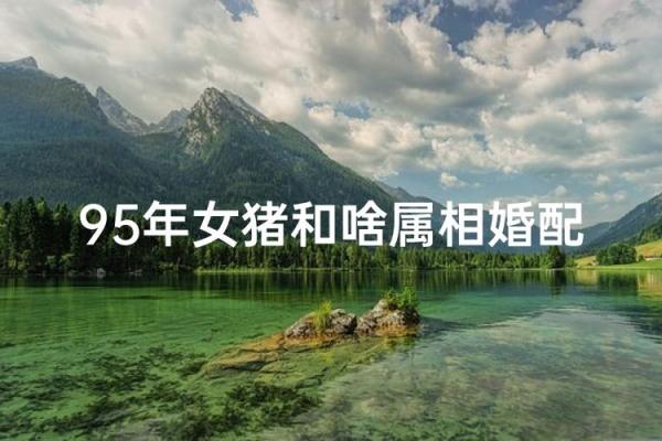 2025年属猪的几月结婚最佳 95年属猪的最佳配偶 2025年属猪的几月结婚最佳 95年属猪的最佳配偶