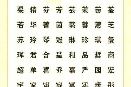 晚上1点出生的属鼠男孩取名大全姓名