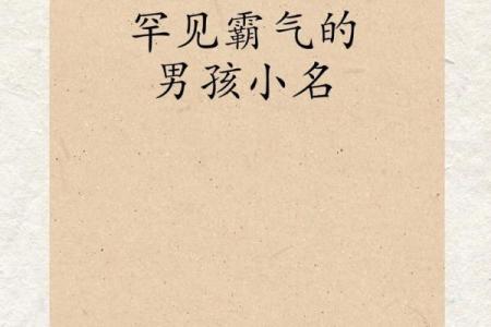 2019年5月24号寅时出生的男孩应该起什么样的名字姓名