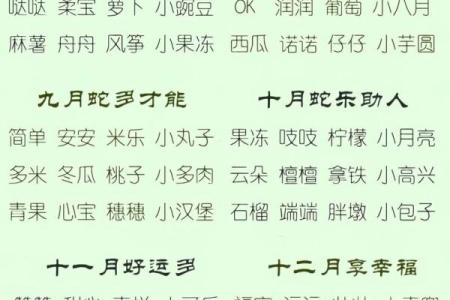 晚上8点出生的属蛇男孩如何起名，适合用什么字姓名