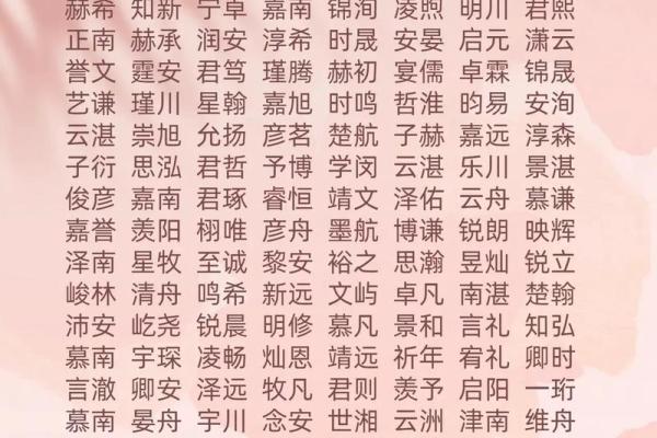 2019年5月14号卯时出生的男孩如何起名姓名