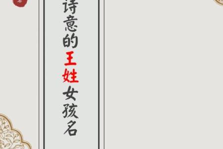 王姓女孩名字大全-王姓女孩起名字大全-王姓名字大全姓名