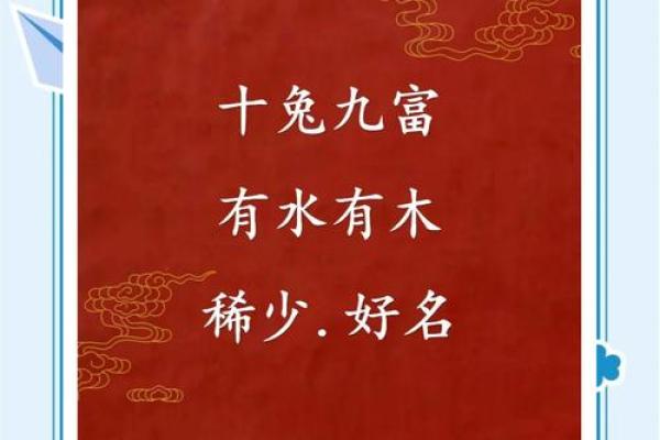 1月份出生的属兔男孩该怎样取名字姓名