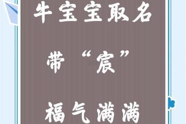 给凌晨4点出生的属牛男孩取名字的技巧姓名