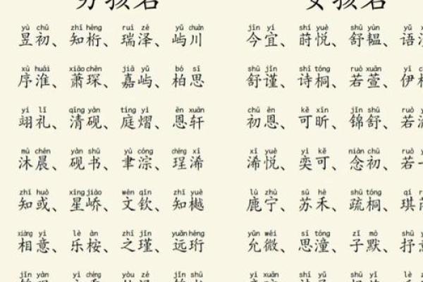 2019年3月23号酉时出生的男孩如何起名姓名