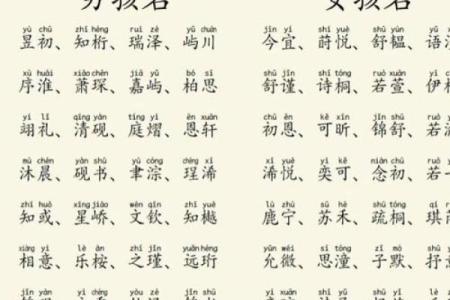 2019年3月23号酉时出生的男孩如何起名姓名