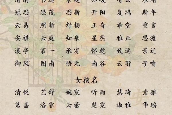 2019年4月8号子时出生的男孩如何起名姓名