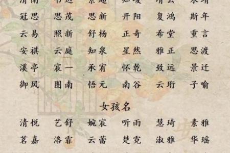 2019年4月8号子时出生的男孩如何起名姓名