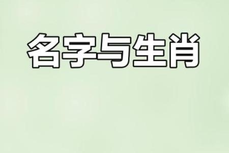 早上八点出生的属猴男孩如何起名，应用什么字姓名