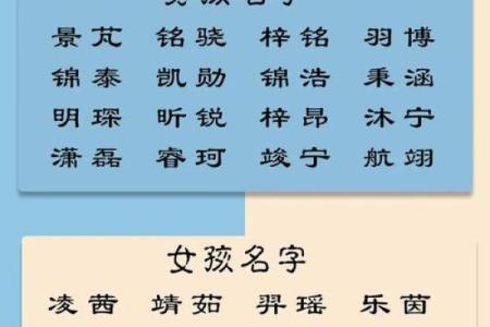 2019年4月27号子时出生的男孩要怎么起名字姓名