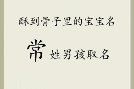 2019年3月19号酉时出生的男孩起名时要注意什么姓名