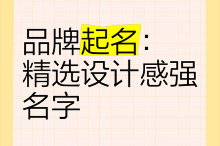 给品牌取一个有意味的名字-姓名学-华易网姓名