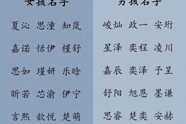 2019年4月24号子时出生的男孩要怎么起名字姓名