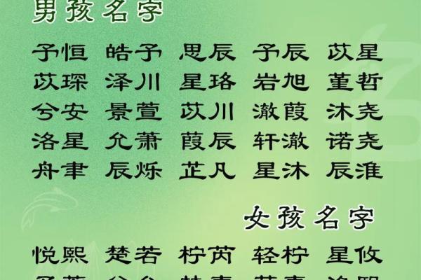2019年3月25号亥时出生的男孩起名方法姓名