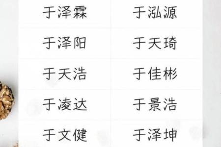 2019年3月25号亥时出生的男孩起名方法姓名