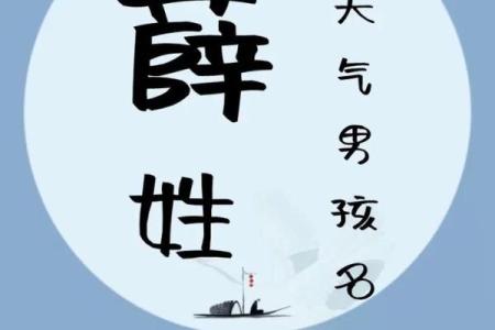 薛姓男孩名字大全-薛姓男孩起名字大全-薛姓名字大全姓名