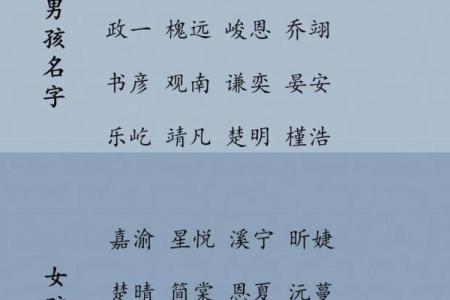 2019年4月12号子时出生的男孩如何起名姓名