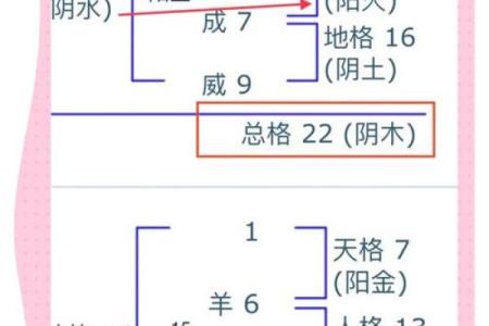 姓名人格数理看社交-姓名学-姓名分析姓名