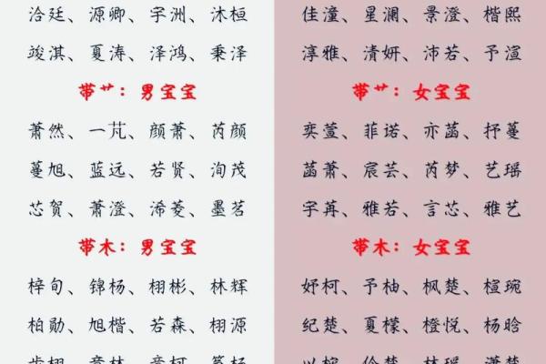 辛时出生的属兔男孩怎么取名字姓名